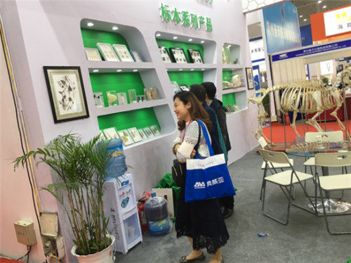 祝賀雨林參展4月教育“兩會(huì)”圓滿成功 祝賀雨林參展4月教育“兩會(huì)”圓滿成功